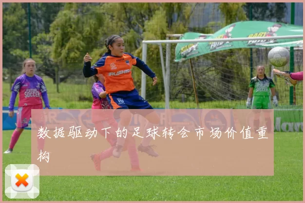 数据驱动下的足球转会市场价值重构