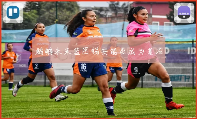 鹈鹕未来蓝图锡安能否成为基石