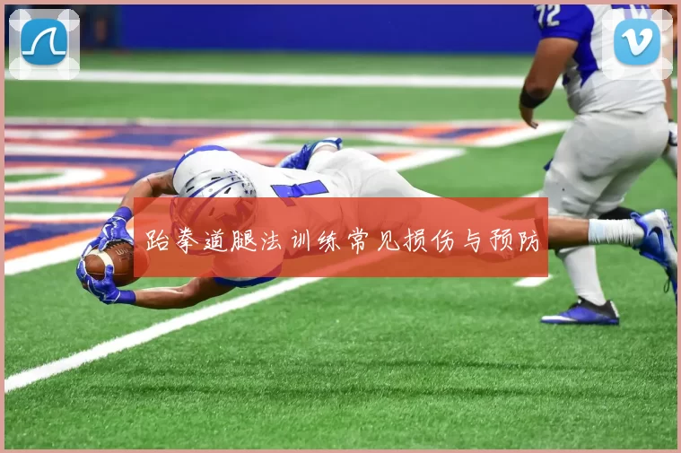 跆拳道腿法训练常见损伤与预防