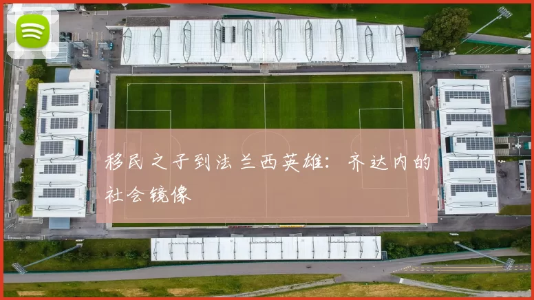 移民之子到法兰西英雄：齐达内的社会镜像