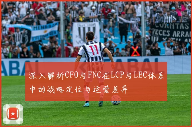 深入解析CFO与FNC在LCP与LEC体系中的战略定位与运营差异