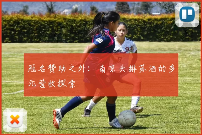 冠名赞助之外：南京头排苏酒的多元营收探索